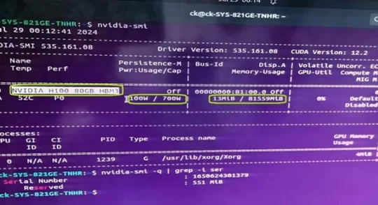 H100 80GB HBM3 (Costumized PCIe)